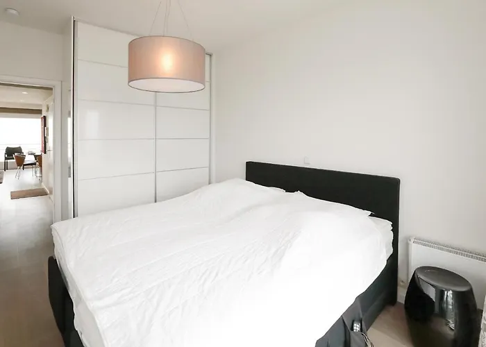 公寓 Residentie Royal Palace 奥斯滕德